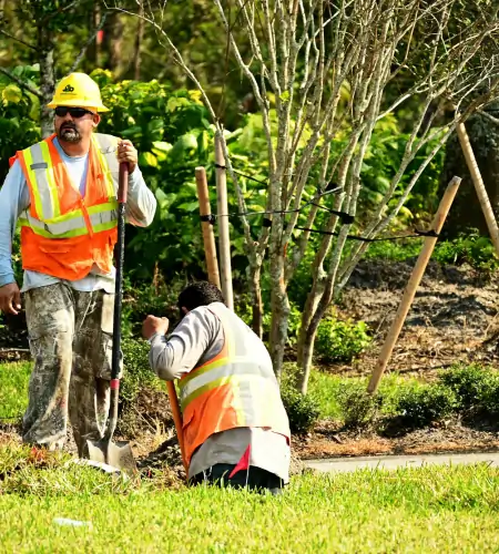 Landscaping Maintenance