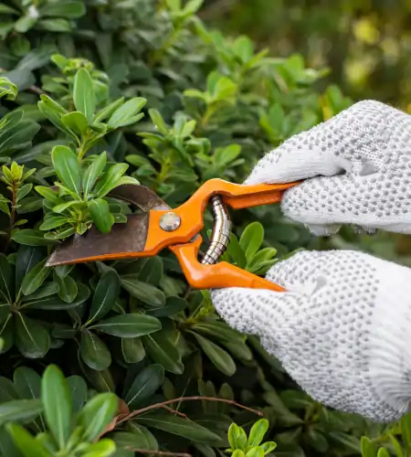 Landscaping services