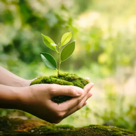 Sustainability